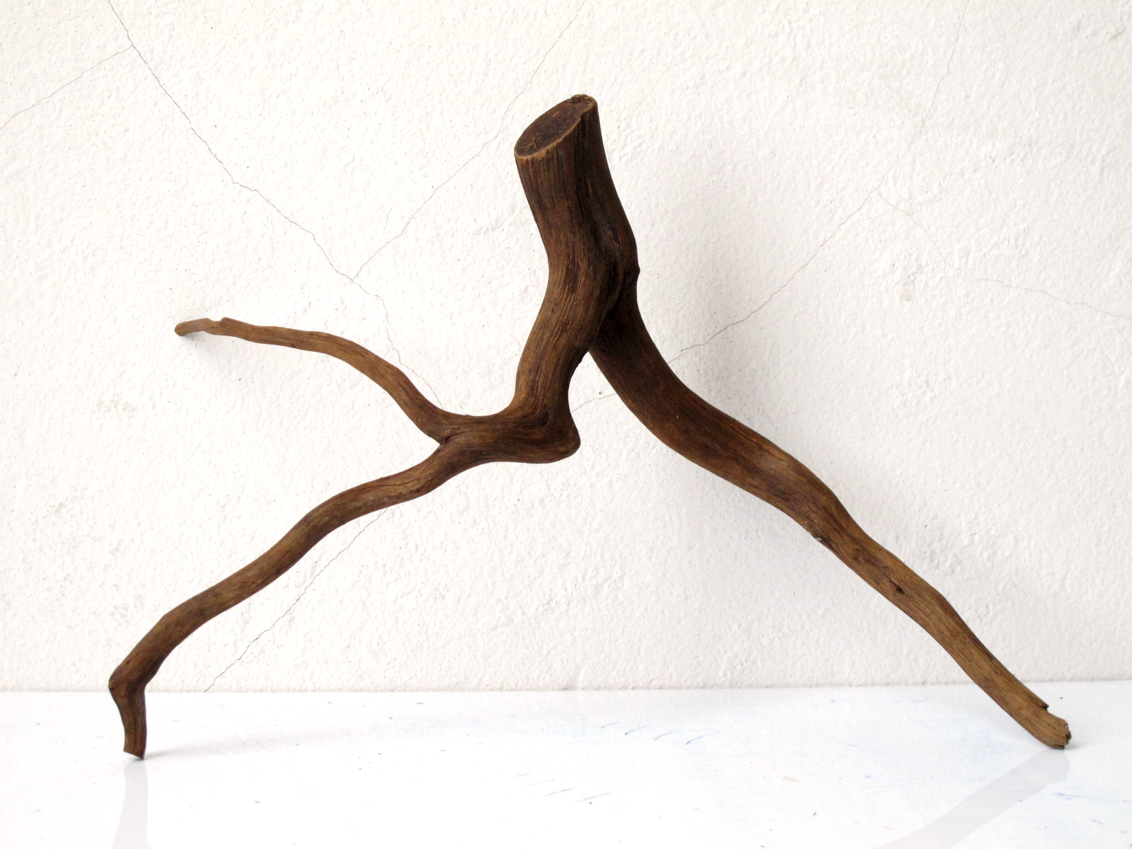 ขอนไม้ตกแต่งตู้ปลาหรือใช้เลี้ยงสัตว์เลื้อยคลาน 008