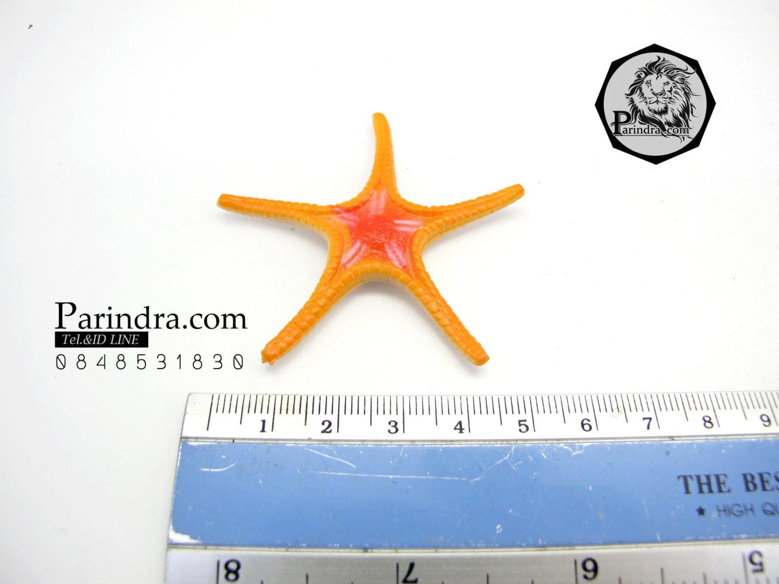 โมเดลดาวทะเลชุด Educational Toys Sea Star Fish