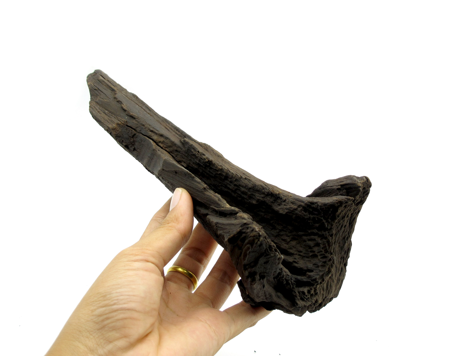 ขอนไม้ตกแต่งตู้ปลาหรือใช้เลี้ยงสัตว์เลื้อยคลาน 069