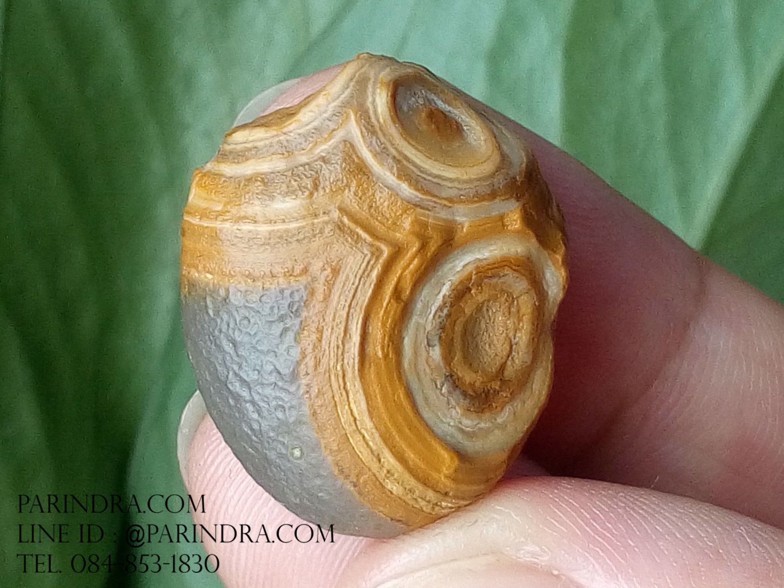 หินรูปทรงประหลาดจากทะเลทรายโกบี GOBI Eye Stone #GOBI001