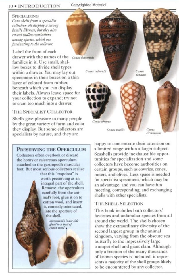 หนังสือคู่มือการสะสมเปลือกหอยของ Smithsonian Handbooks: Shells (หนังสือใหม่ มือ 1)