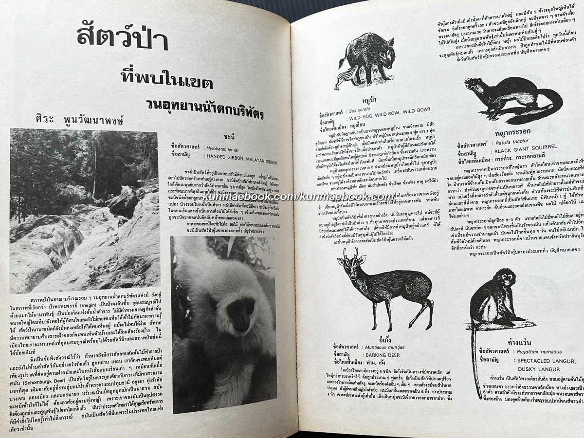 ธรรมชาติศึกษา ฉบับนำสำรวจวนอุทยานน้ำตกบริพัตร ฉบับปฐมฤกษ์ ปี 1 เล่ม 1
