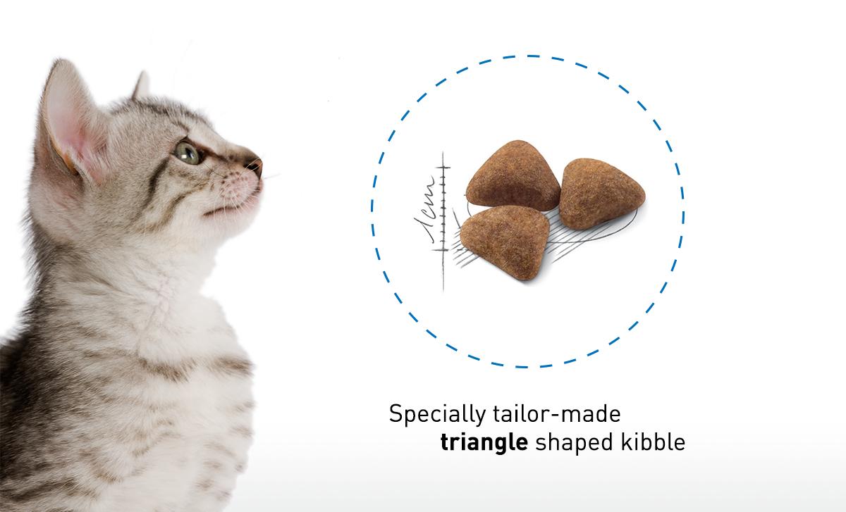 Royal Canin อาหารแมว โรยัล คานิน Indoor 27 แบ่งขาย 1กิโล ใส่ถุง ซิปล็อค สำหรับ แมวอาศัยในบ้าน 1-10 ปี