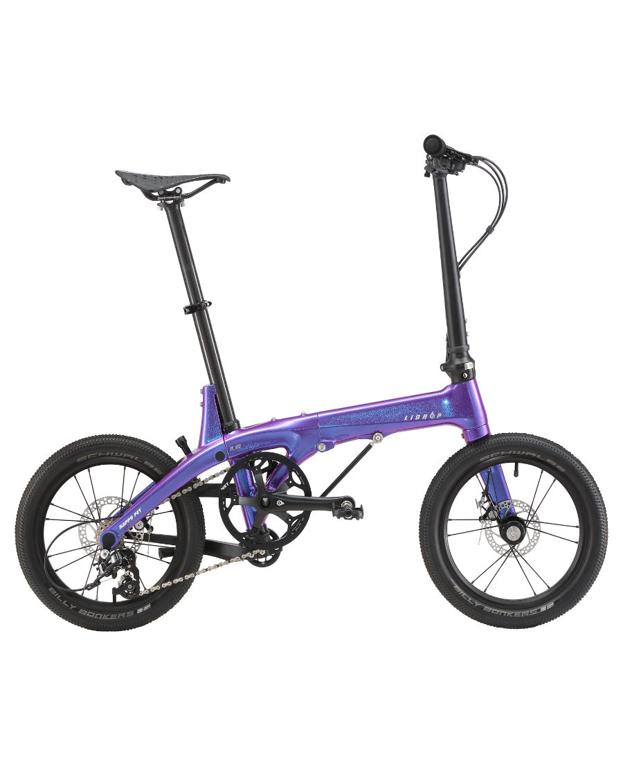 Lidrop Happy Pet จักรยานพับ เฟรมคาร์บอน ล้อขนาด 16 นิ้ว | Shuntai SENSAH 5 สปีด น้ำหนักเบา 7.8 กก. | รุ่น Pro