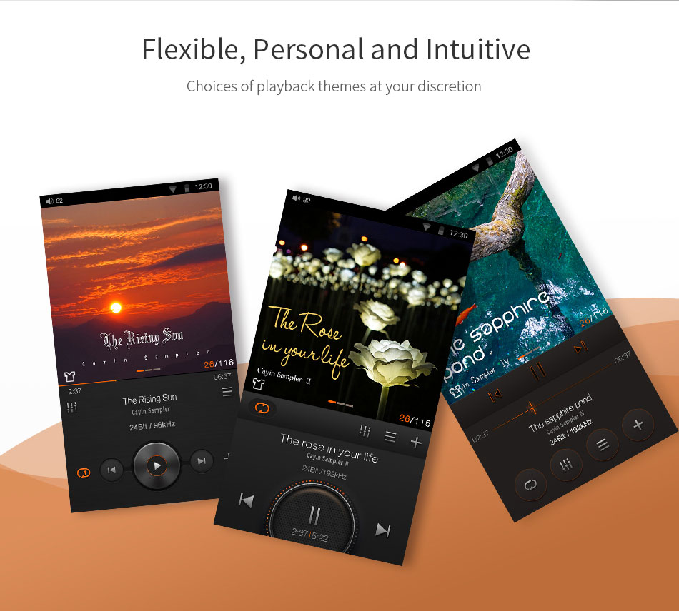 [Sale] Cayin N5ii สุดยอด Android Music Player รองรับ 2.5 บาล้านซ์ Lossless DSD WiFi และ bluetooth