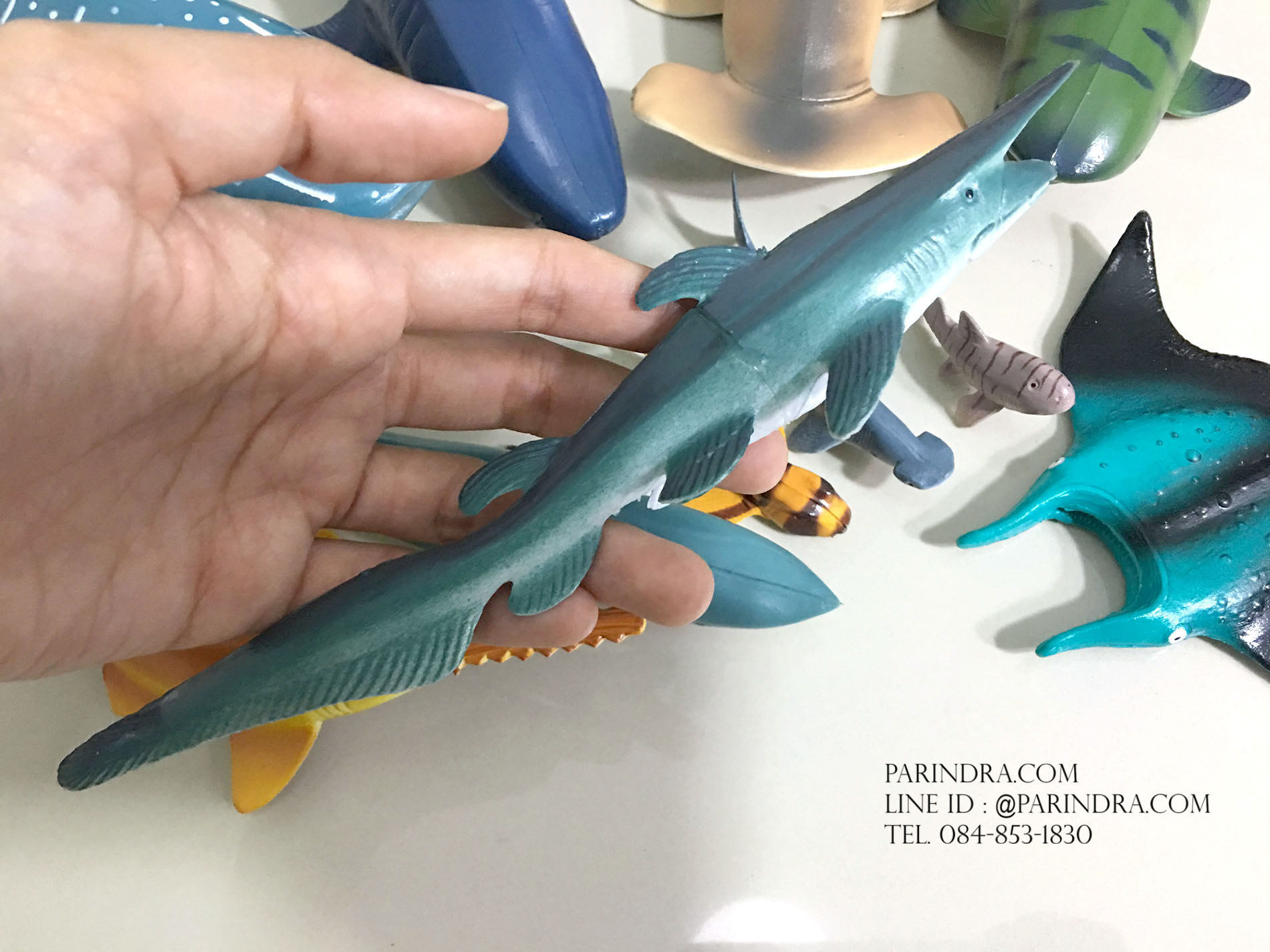 โมเดลสัตว์ทะเล ชุด Ocean World กลุ่ม ฉลาม หลากหลายสายพันธุ์