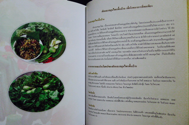 อนุสรณ์ในงานพระราชทานเพลิงศพ ท่านผู้หญิงประเทือง คชภักดี ท.จ.ว.,ท.ช.,ท.ม.