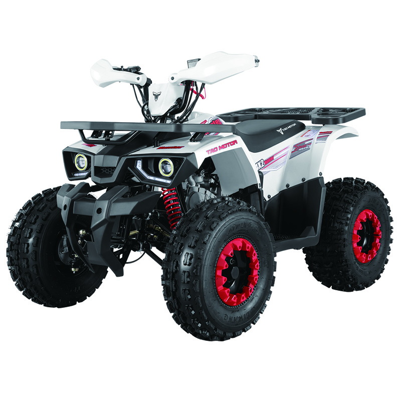 125cc Chain Drive ATV — Tao Motor HUNTER 125 with Reverse, LED Lights & CE/EPA Cert. | Perfect for Kids 10+ & Adults
