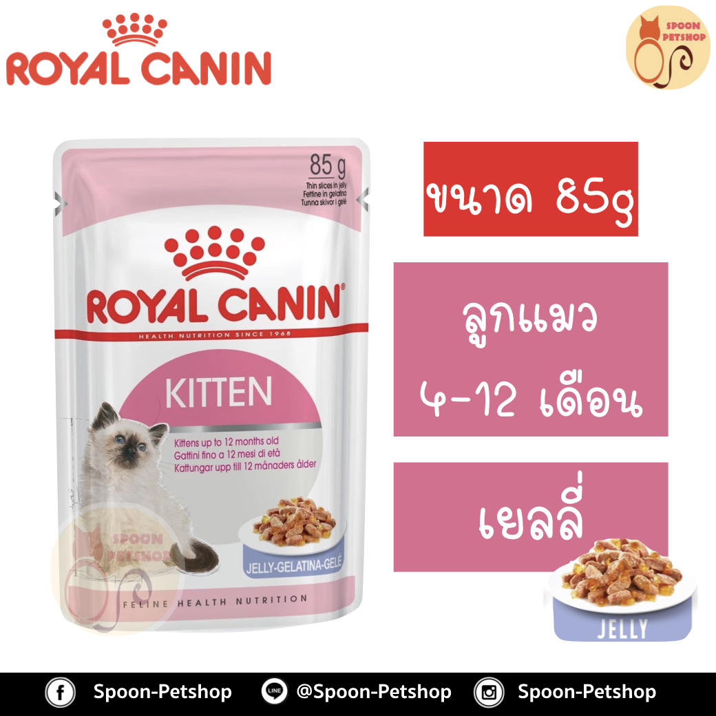 Royal Canin Kitten Instinctive 12 Jelly อาหารแมว โรยัล คานิน แบบเปียก สำหรับลูกแมว 4-12 เดือน และแม่แมว ในเยลลี่