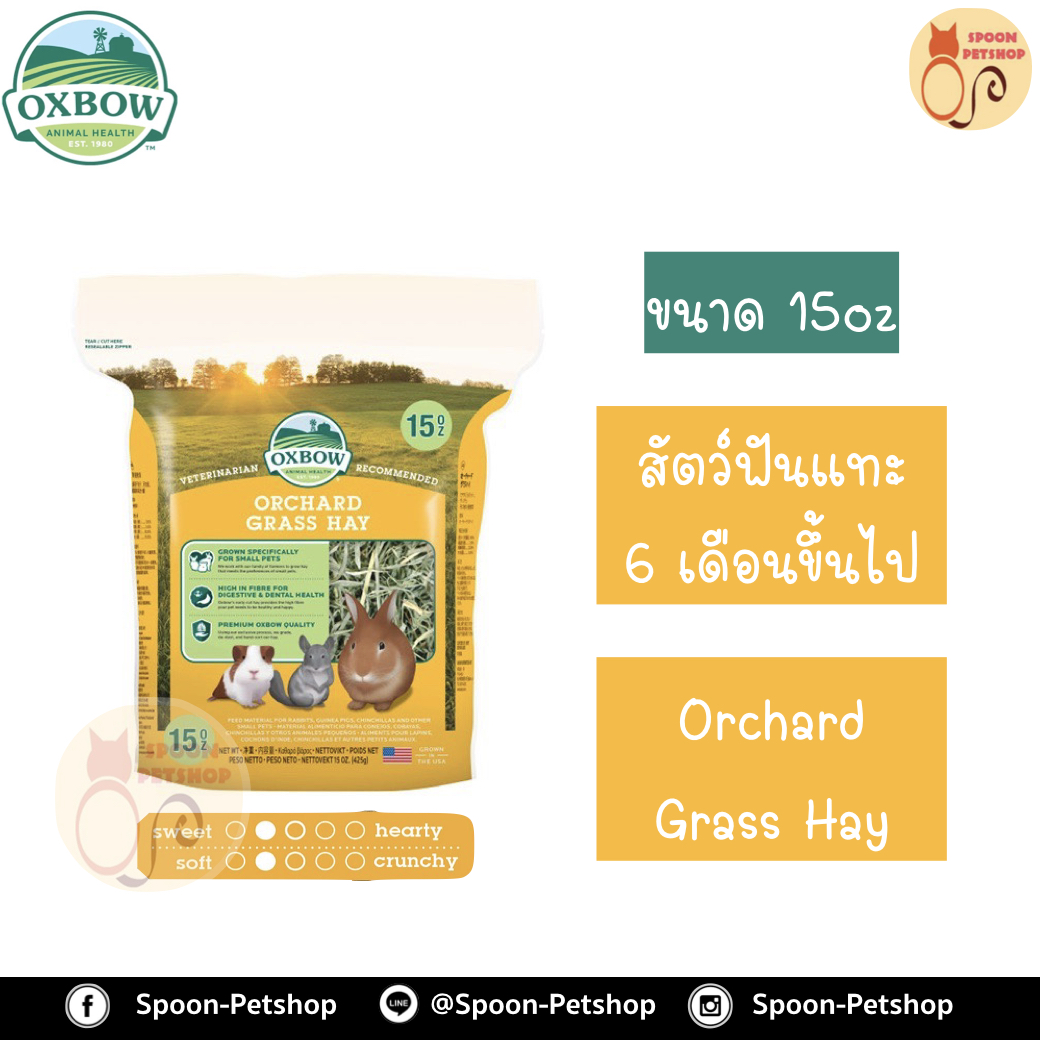 Oxbow Orchard Hay หญ้า อ็อกซ์โบว์ ออชาร์ด สำหรับสัตว์ฟันแทะ กระต่าย กระรอก หนูแฮมสเตอร์ หนูแกสบี้ อายุตั้งแต่ 6 เดือนขึ้นไป ขนาด 15Oz