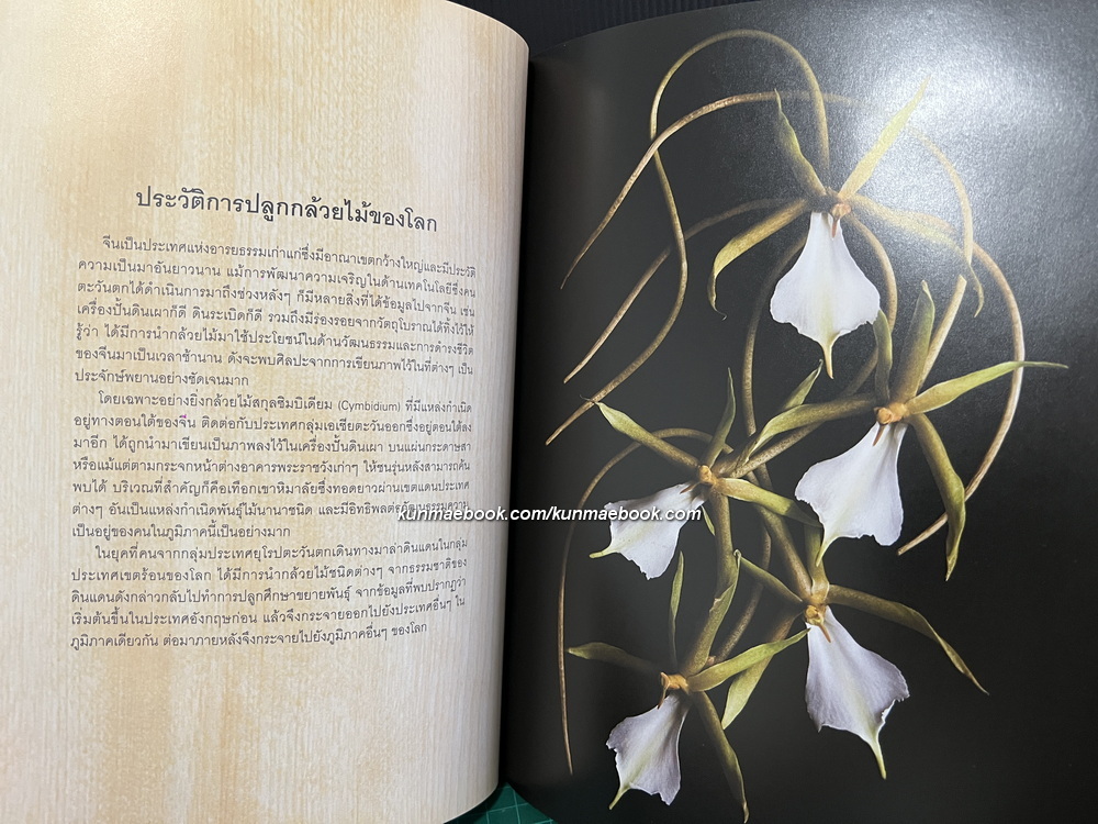 อนุสรณ์ในงานพระราชทานเพลิงศพ หม่อมเจ้าทิตยาทรงกลด จักรพันธุ์ ท.จ.