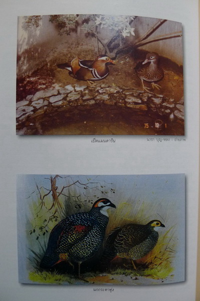 อนุสรณ์ในงานพระราชทานเพลิงศพ ศาสตราจารย์ นารา บุญ-หลง ป.ช.,ป.ม.