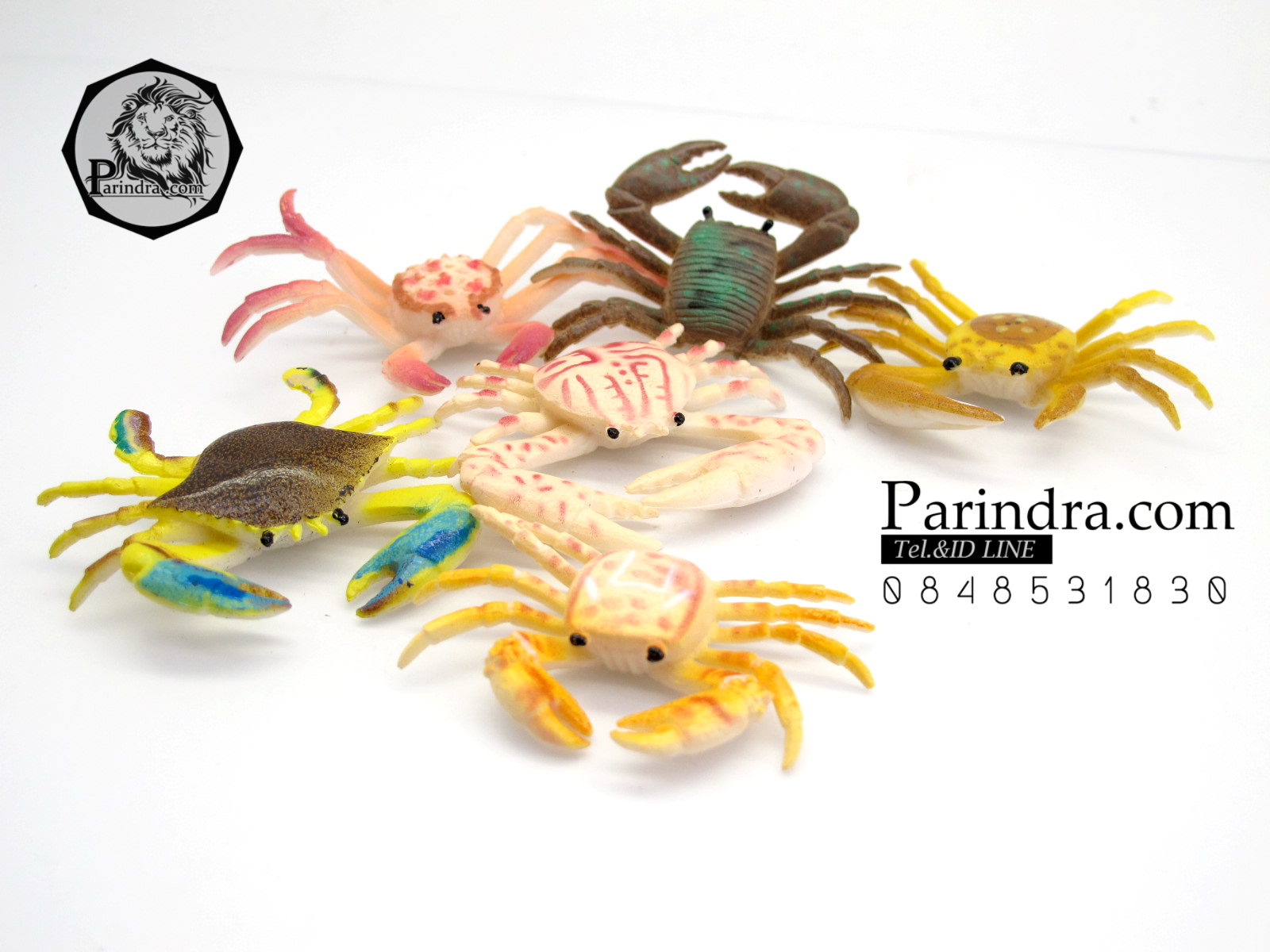 โมเดลชุดปูทะเล Educational Toys SEA CRAB มีหลายสีหลายชนิด ครบชุด 6 ตัว