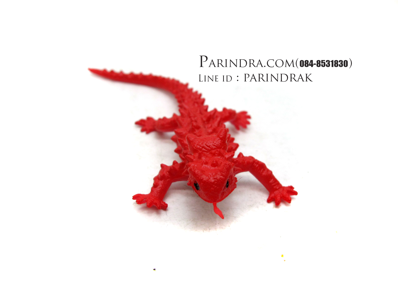 โมเดลกิ้งก่าหนามแดง