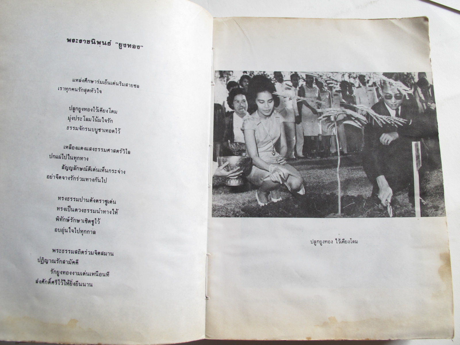 หนังสือ 50 มธ กึ่งศตวรรษธรรมศาสตร์ 2477 – 2527