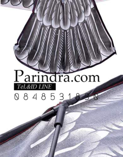 ว่าวนกอินทรีย์ ต่างประเทศ ขนาดปีก 1.5 เมตร น่าเล่นครับ