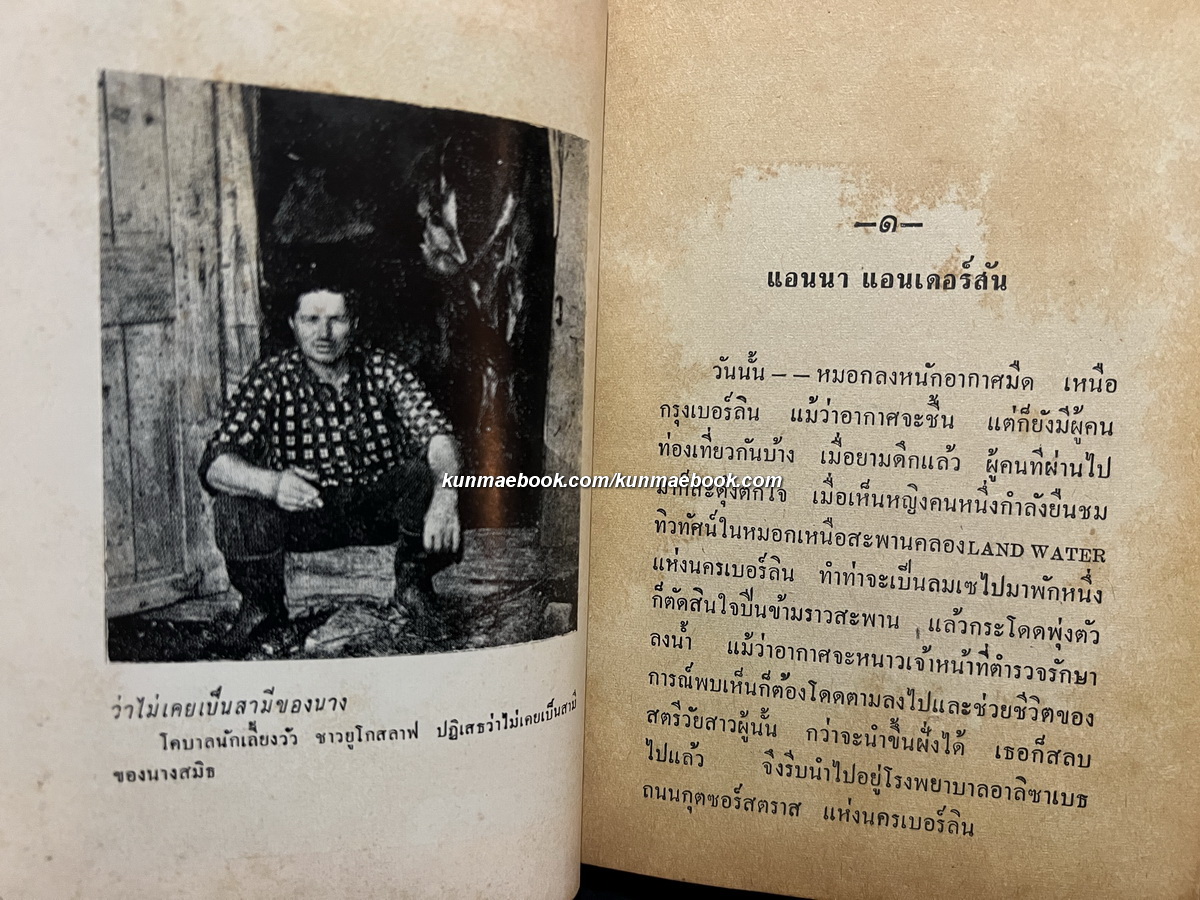 ฟ้าหญิงพเนจร ผลงานของ อุดม ประมวลวิทย์