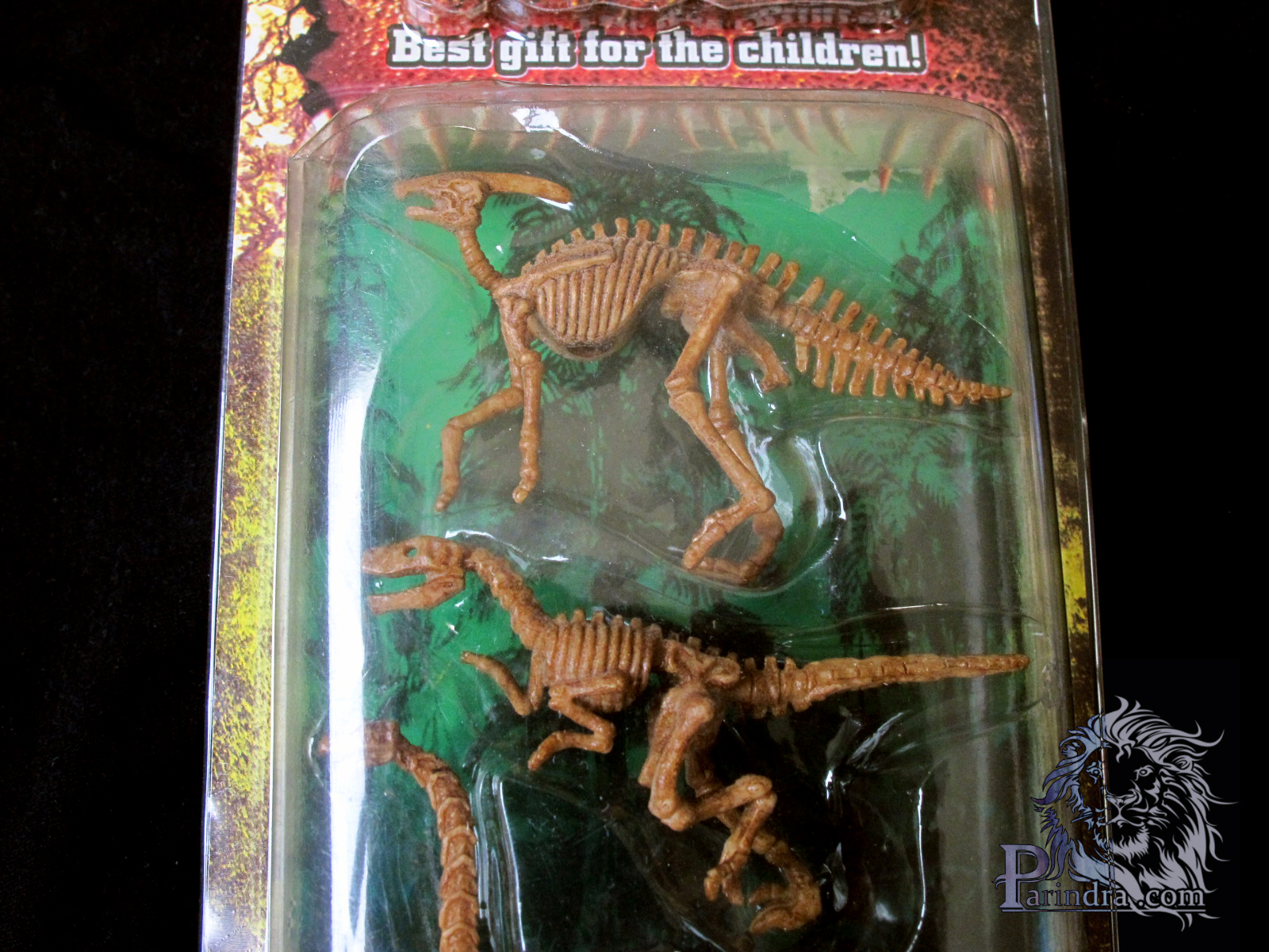 โมเดลฟอสซิลไดโนเสาร์ สัตว์โลกล้านปี ชุด B