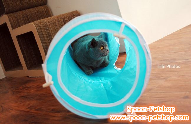 ของเล่นแมว เครซี่ แคท ทันเนล Crazy Cat Tunnel เหมาะสำหรับลูกแมว และแมวโต มี 2 สี ฟ้า และชมพู