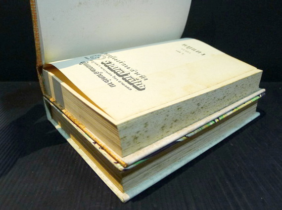 หมูแดง ( 2 เล่มจบ ) ผลงานของ วราภา (วราภา ณ สงขลา)