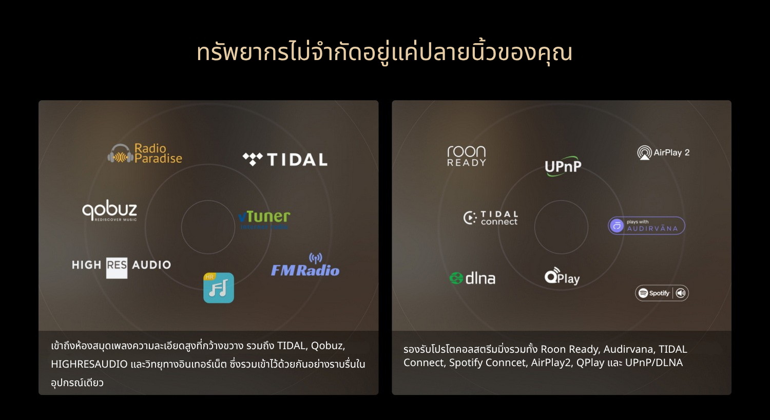 <สั่งจองล่วงหน้า> MATRIX Audio MD-1 / MD-1P เครื่องเล่นเพลงสตรีมมิ่งพร้อม DAC/AMP พรีเมี่ยมในตัว ประกันศูนย์ไทย