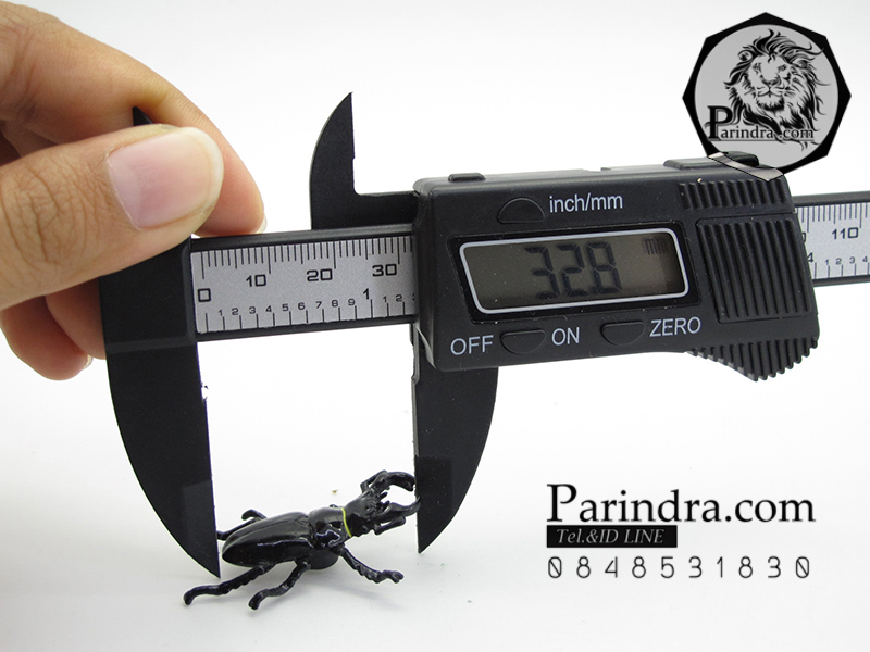 โมเดลด้วง