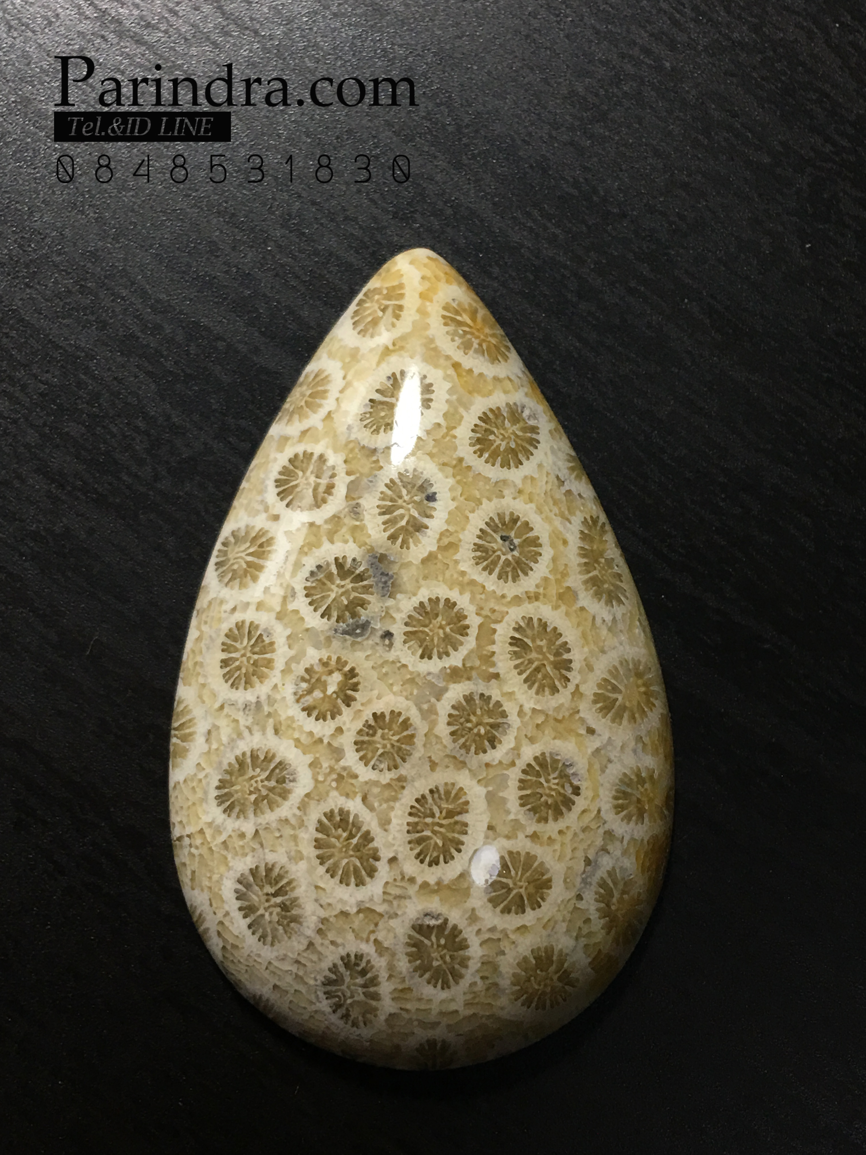 ฟอสซิลหินปะการังขัด Fossil Coral ใหญ่และหนา สำหรับห้อยคอ หรือ พวงกุญแจ คัดสวยพิเศษ #CRF034