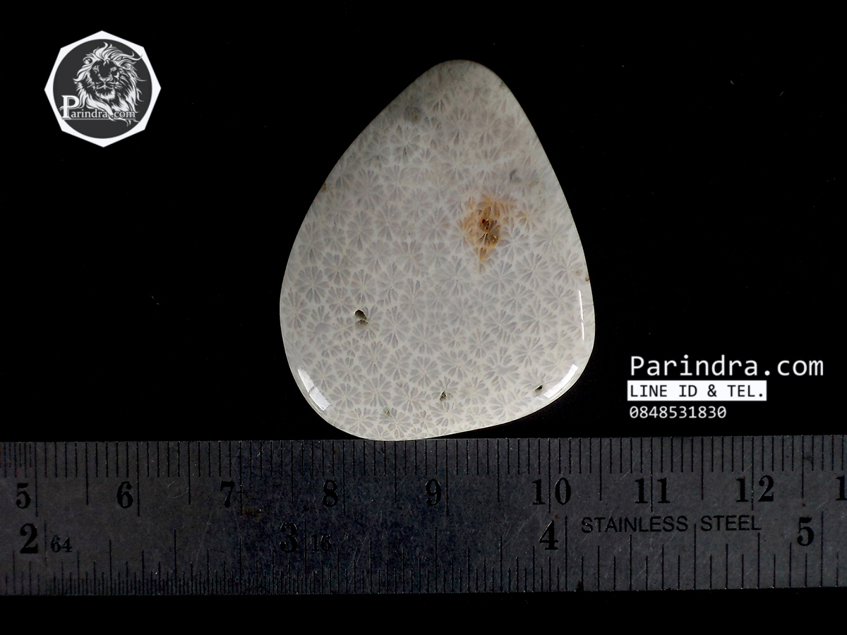 ฟอสซิลหินปะการังขัด สำหรับห้อยคอ หรือ พวงกุญแจ คัดสวยพิเศษ #CRF008