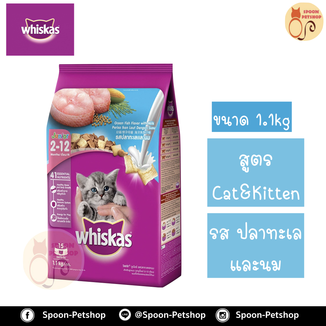 Whiskas อาหารแมว วิสกัส สำหรับลูกแมว รสปลาทะเล และนม 1.1kg