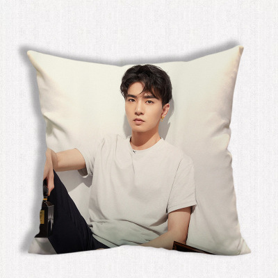 หมอน Caesar Wu (อู๋ซีเจ๋อ)
