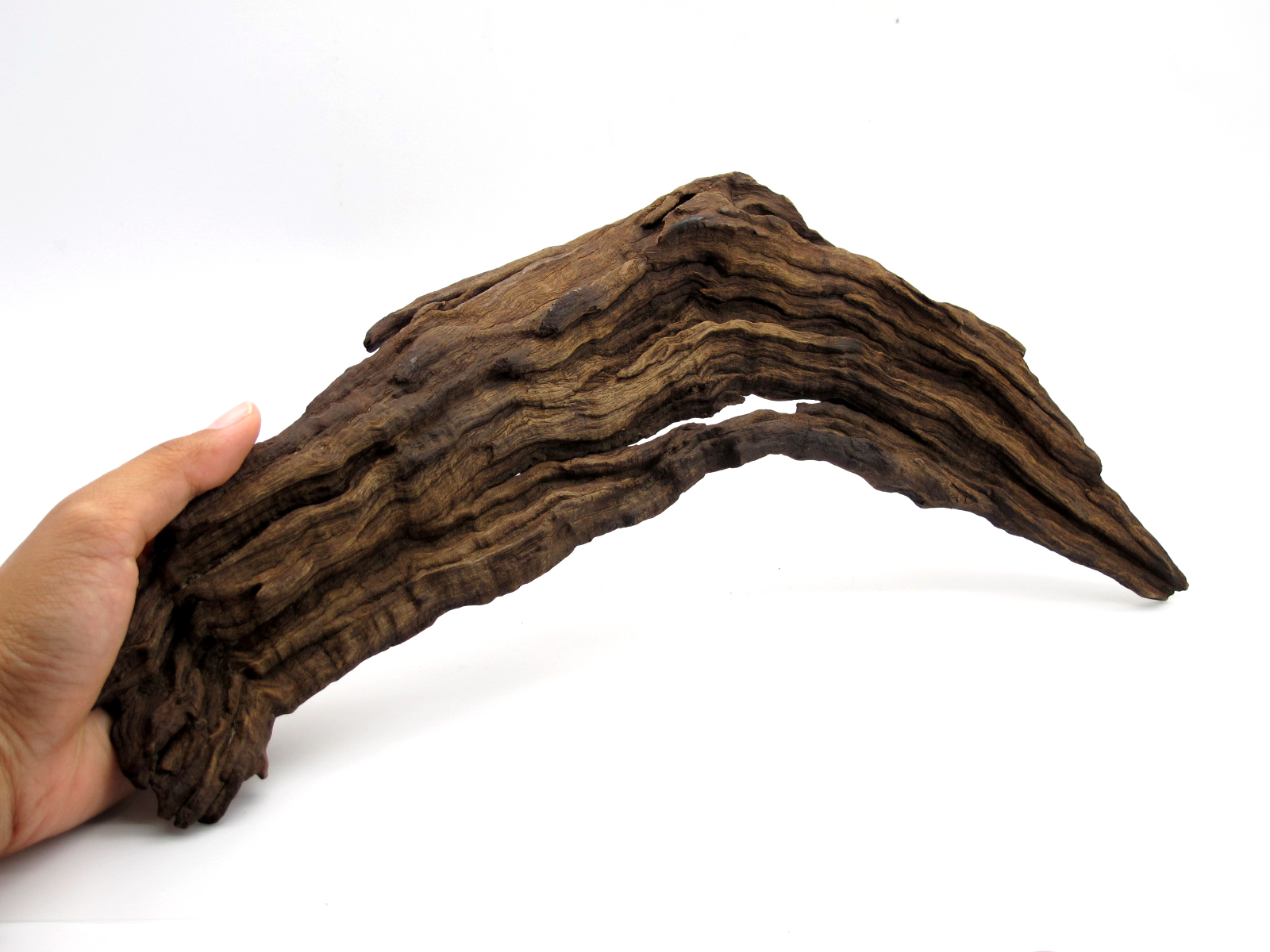 ขอนไม้ตกแต่งตู้ปลาหรือใช้เลี้ยงสัตว์เลื้อยคลาน 054