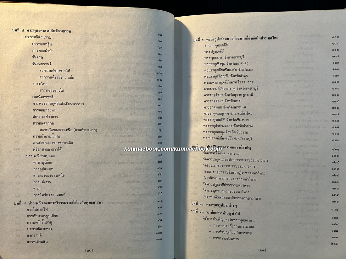 เมืองแห่งผ้ากาสาวพัสตร์ ผลงานของ พเยาว์ ศรีหงส์