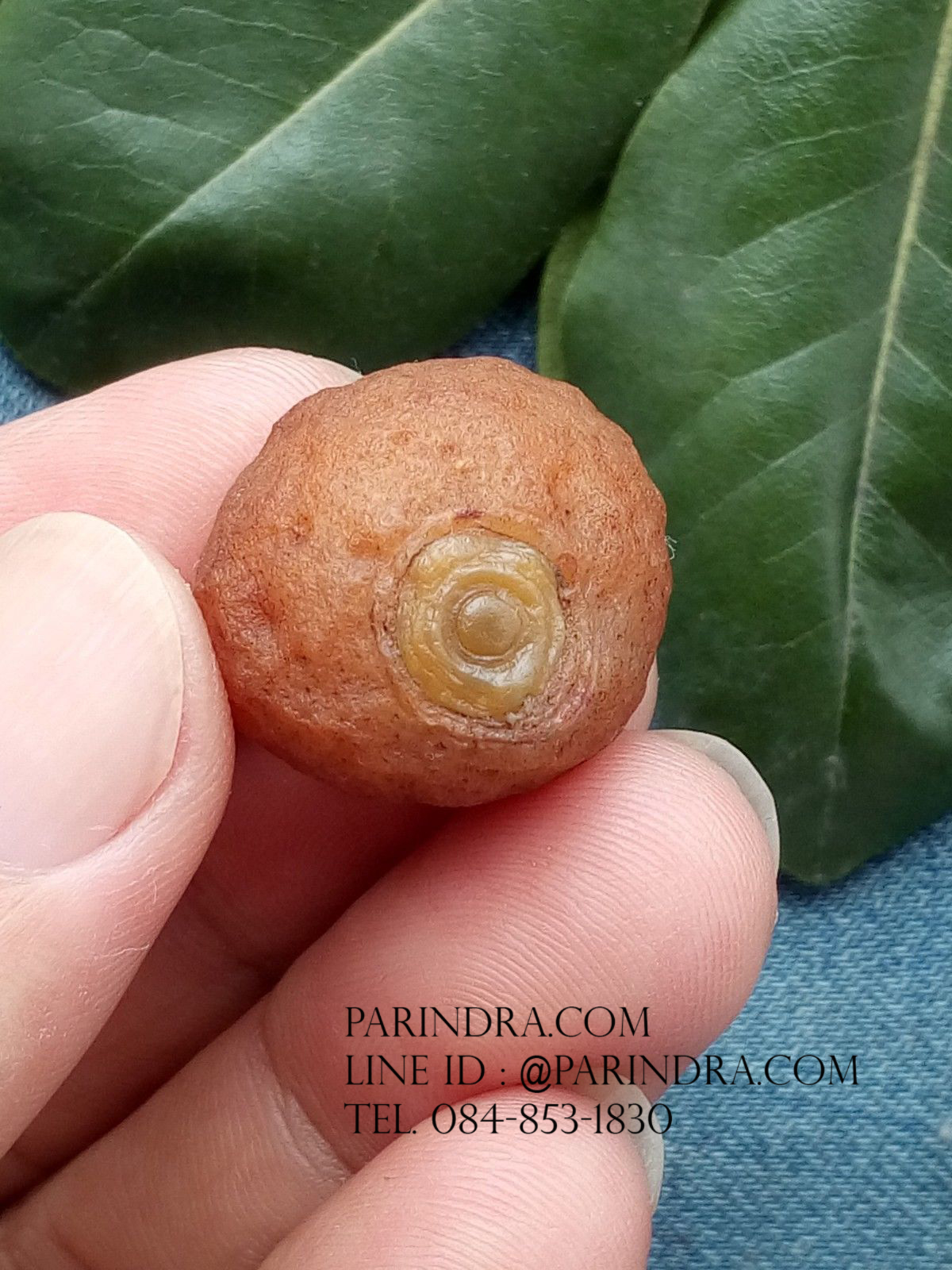 หินรูปทรงประหลาดจากทะเลทรายโกบี GOBI Eye Stone #GOBI006