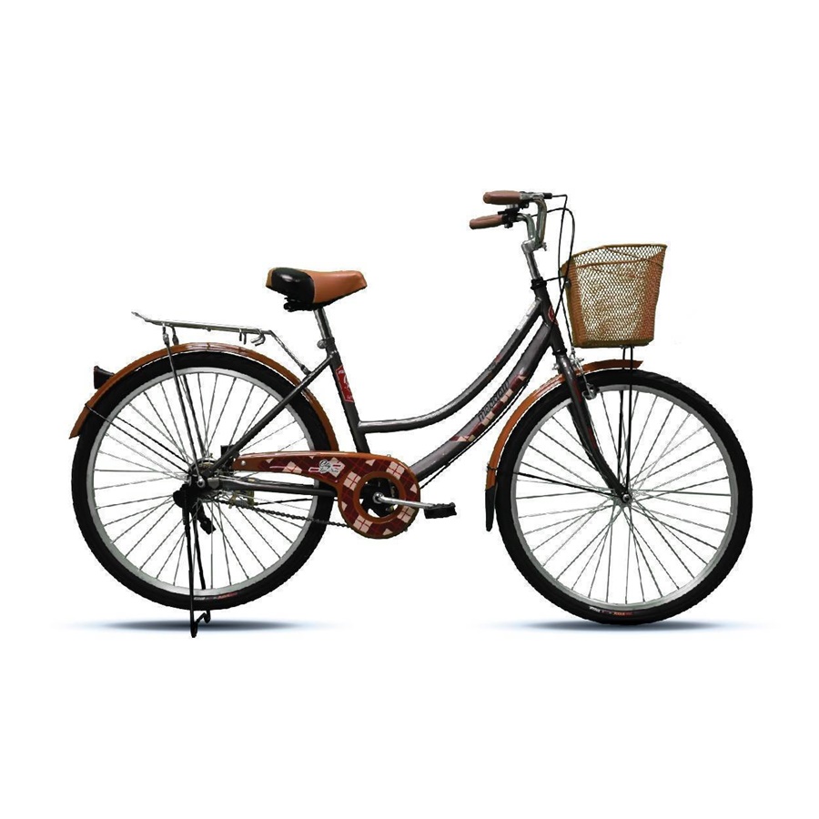 MEADOW housewife's bicycle, model CITY VINTAGE MIT, 26-inch wheels, with vintage basket, no gears.