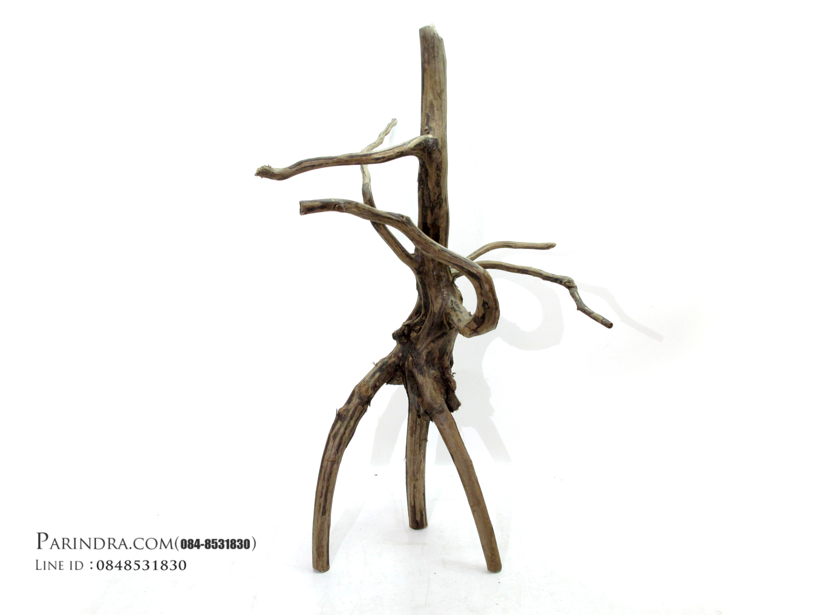 ขอนไม้ตกแต่งตู้ปลาหรือใช้เลี้ยงสัตว์เลื้อยคลาน 015