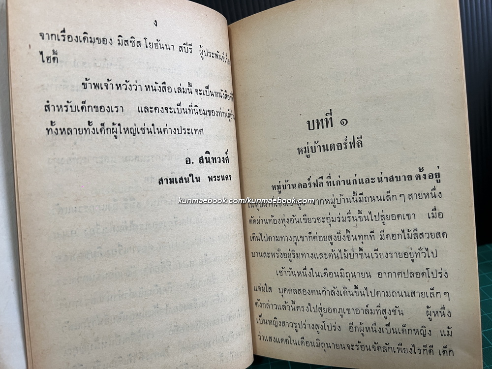 ไฮดี้ (Heidi) *สำนวนของ อ.สนิทวงศ์*