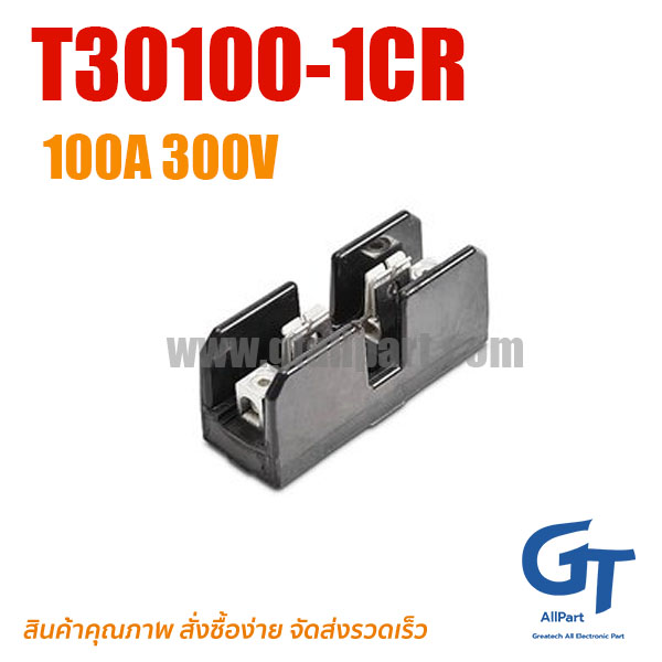ตัวยึดฟิวส์ T30100-1CR Fuse Holder 1P 100A 300V Bussmann
