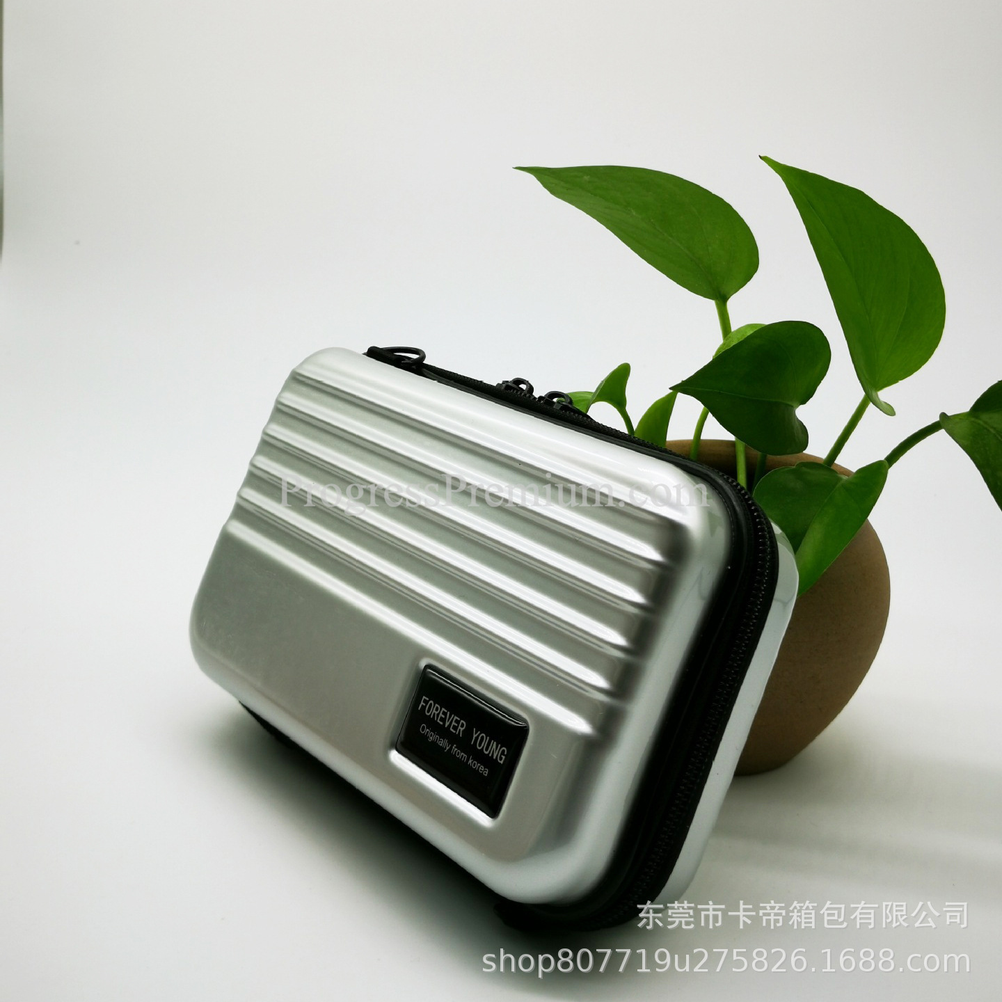 กระเป๋าสะพายข้าง