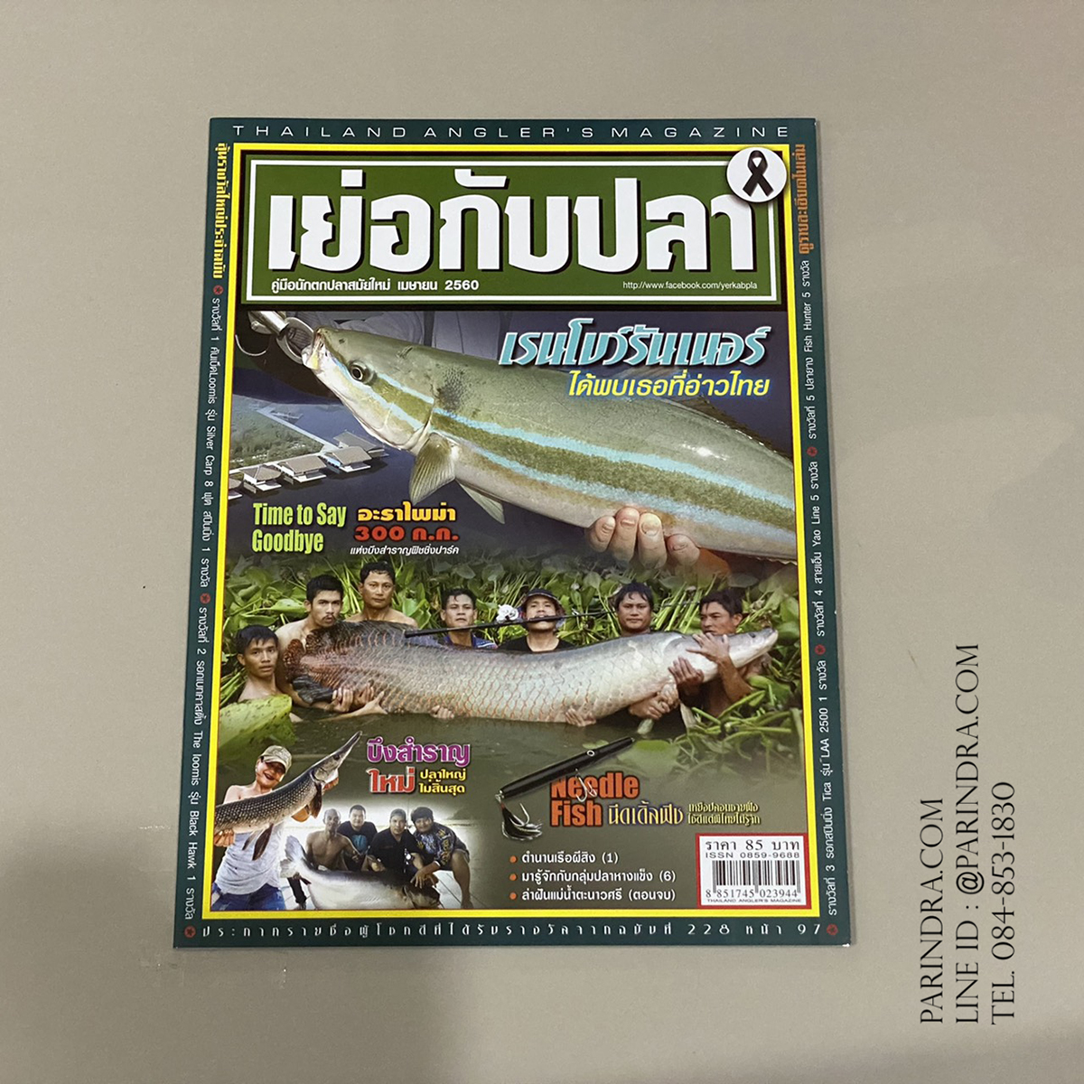 นิตยสาร เย่อกับปลา หน้าปก เรนโบว์รันเนอร์ ได้พบเธอที่อ่าวไทย ฉบับที่ 228 เดือนเมษายน ปี 2560