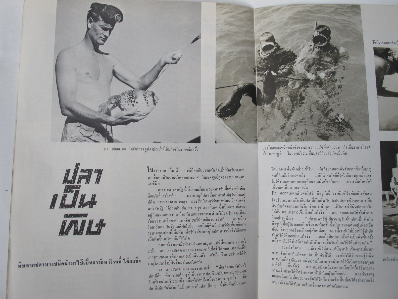 นิตยสาร "เสรีภาพ" ฉบับที่ 114