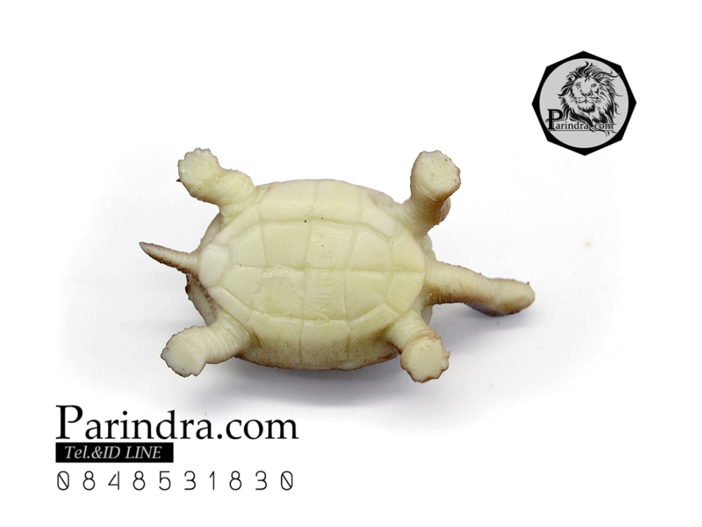 โมเดลเต่ายักษ์กาลาปากอส ชุดคู่สองตัว