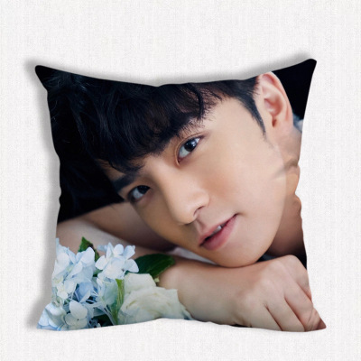 หมอน Caesar Wu (อู๋ซีเจ๋อ)