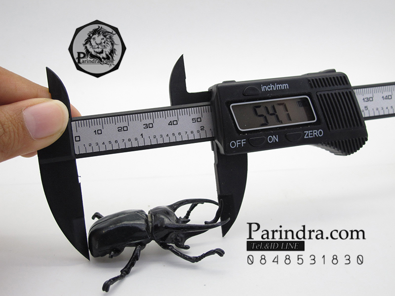 โมเดลด้วง ชำรุด