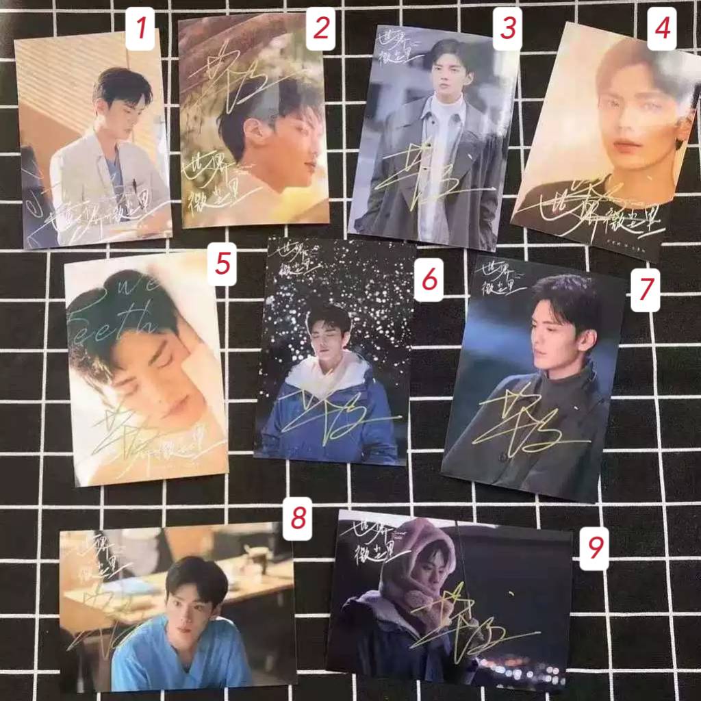 โปสการ์ดลายเซ็นสด (6 นิ้ว) ปี้เหวินจวิ้น