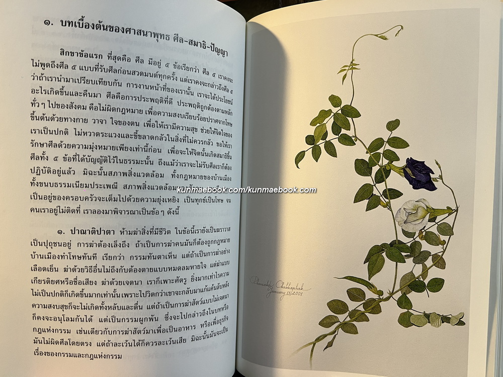 รู้ไว้ใช่ว่า ( 4 เล่ม Boxset ) กัลยาณี ลี้อิสระนุกูล เขียน