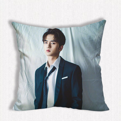 หมอน Caesar Wu (อู๋ซีเจ๋อ)