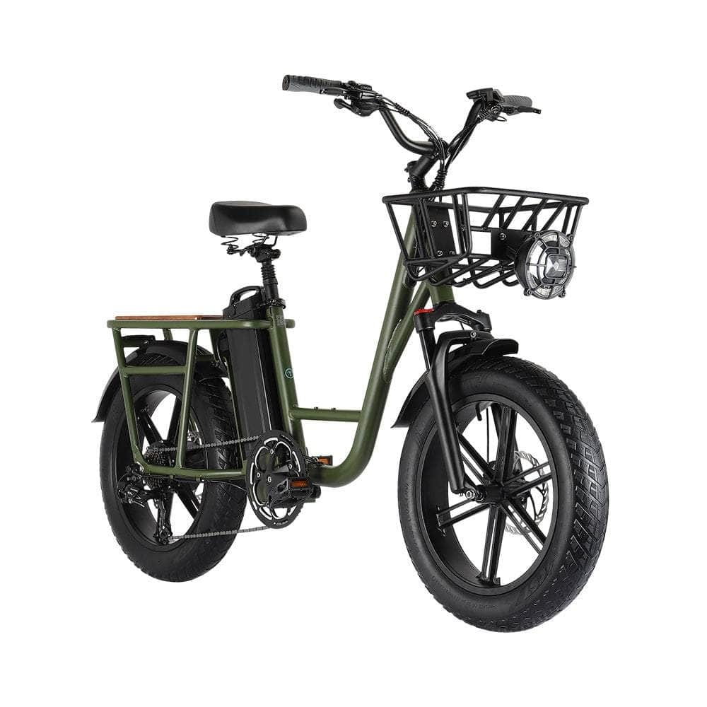 จักรยานไฟฟ้า Fiido T1 CARGO Utility Electric Bike Fat tires เกียร์ 7สปีด แรง 750วัตต์ ล้อ 20นิ้ว