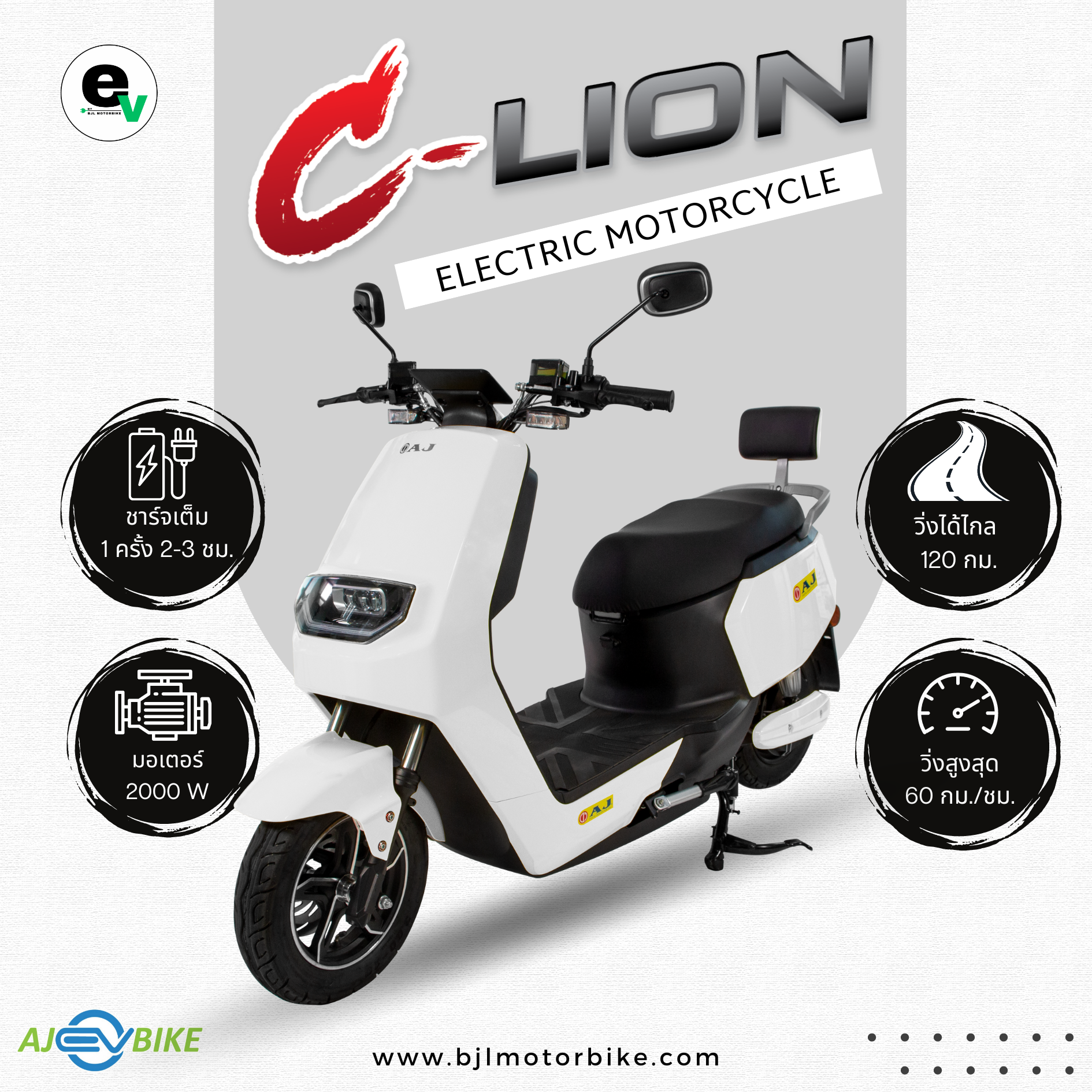 C-Lion WHITE