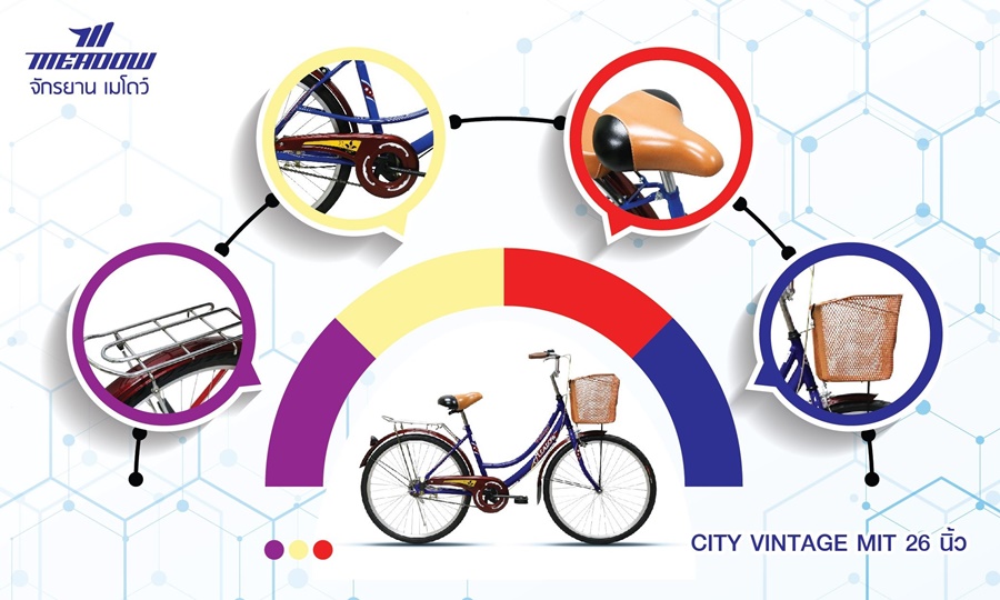 MEADOW housewife's bicycle, model CITY VINTAGE MIT, 26-inch wheels, with vintage basket, no gears.