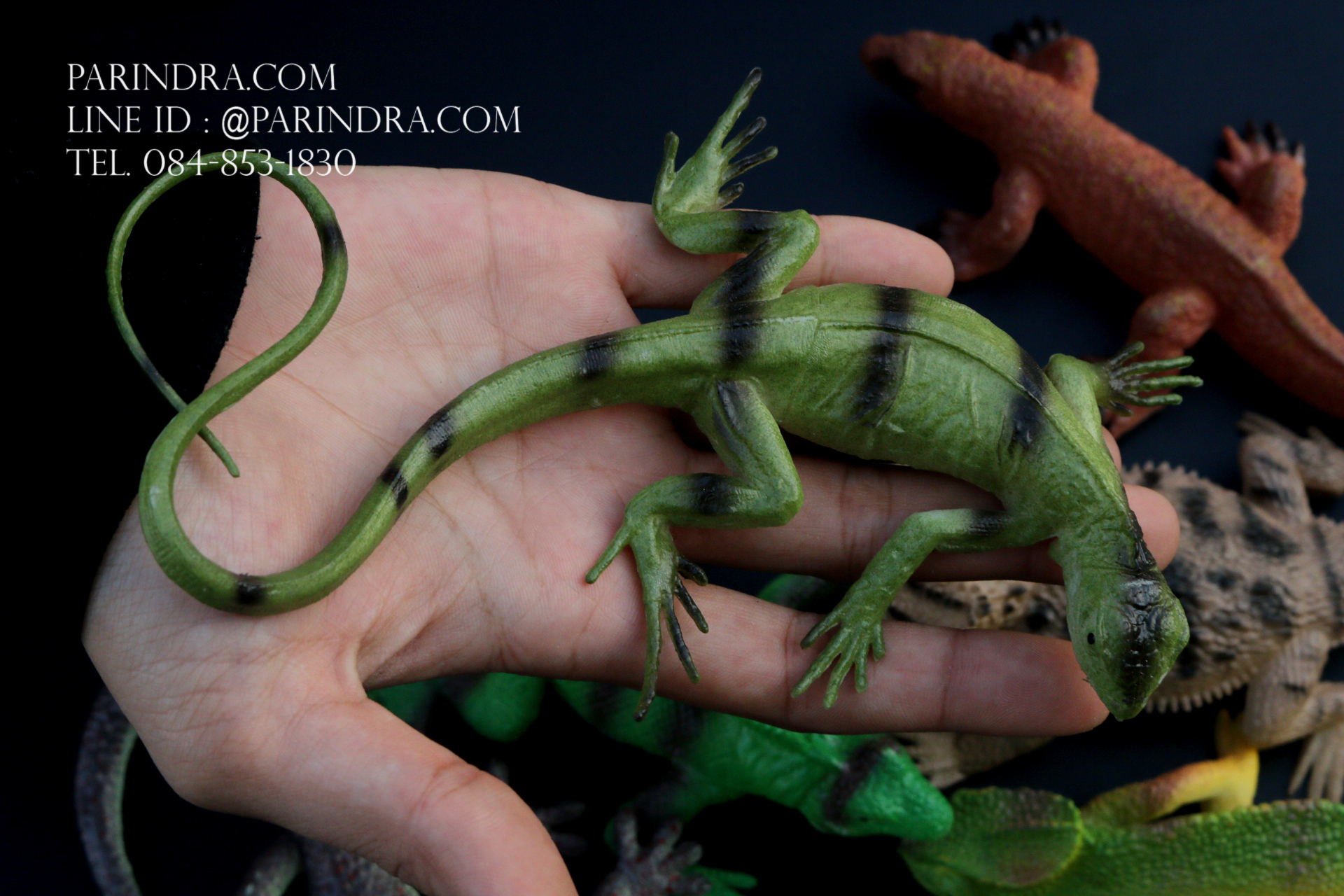 โมเดลสัตว์ชุด รวมสัตว์เลื้อยคลาน Reptile MIXED